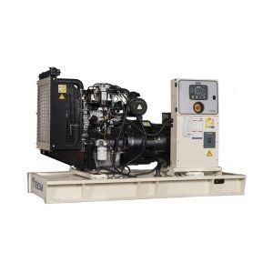 Дизельный генератор TEKSAN TJ45PE5L  Дизельный генератор TEKSAN TJ45PE5L  фото