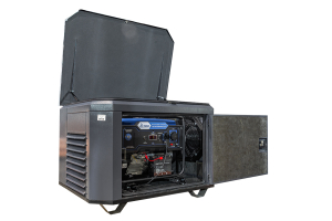 Бензиновый генератор ТСС SGG 6000EHNA в кожухе 1200 110106 фото