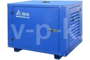 Бензиновый генератор ТСС SGG 2800N в погодозащитном кожухе  фото