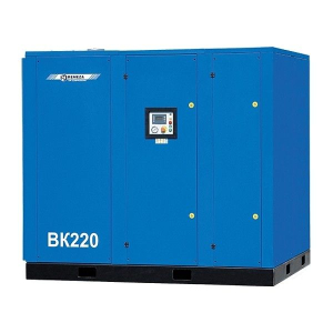 Винтовой компрессор Remeza ВК220-8 Винтовой компрессор Remeza ВК220-8 фото