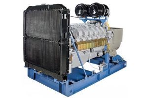 Дизельный генератор ТСС АД-320С-Т400-2РМ2 Linz 029349 (с автозапуском) Дизельный генератор ТСС АД-320С-Т400-2РМ2 Linz 029349 (с автозапуском) фото