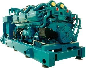 Дизельный генератор  C3000D5