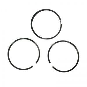 4080080000 Комплект поршневых колец высокого давления фото
