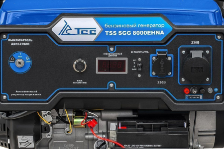 Бензиновый генератор  SGG 8000EHNA