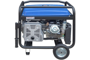 Бензиновый генератор ТСС SGG 8000EHNA в кожухе МК-1.1 034039 4-х тактный фото