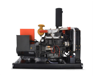 Дизельный генератор MVAE АД-50-400-Р  Дизельный генератор MVAE АД-50-400-Р  фото